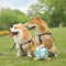 Paw Print Soccer Ball Dog Chew Toy With Straps