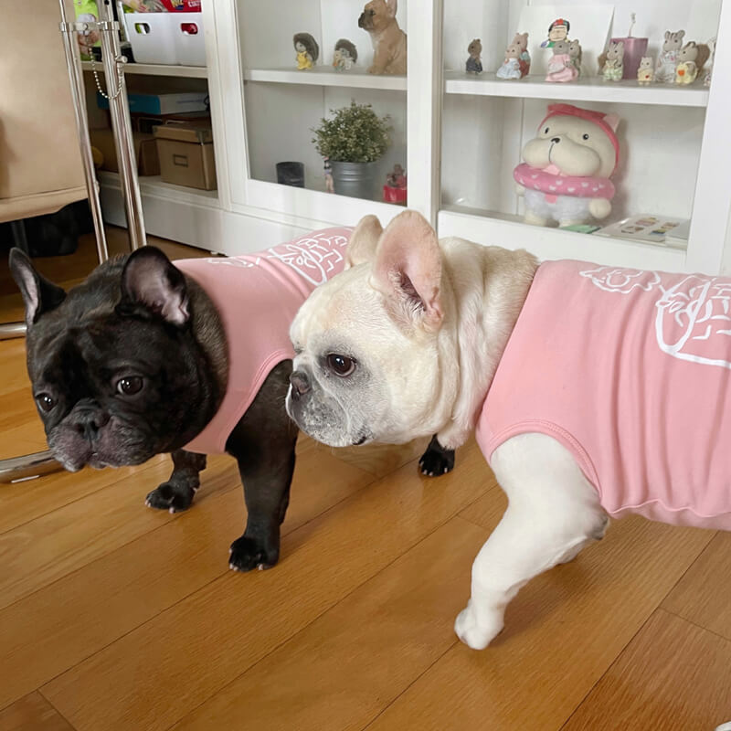 Ensemble t-shirts et gilet pour chiot assortis roses pour chien et propriétaire