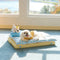 Play And Rest All-In-One Double-Layer Comfortable Washable Dog Bed - Pet Exclusive
