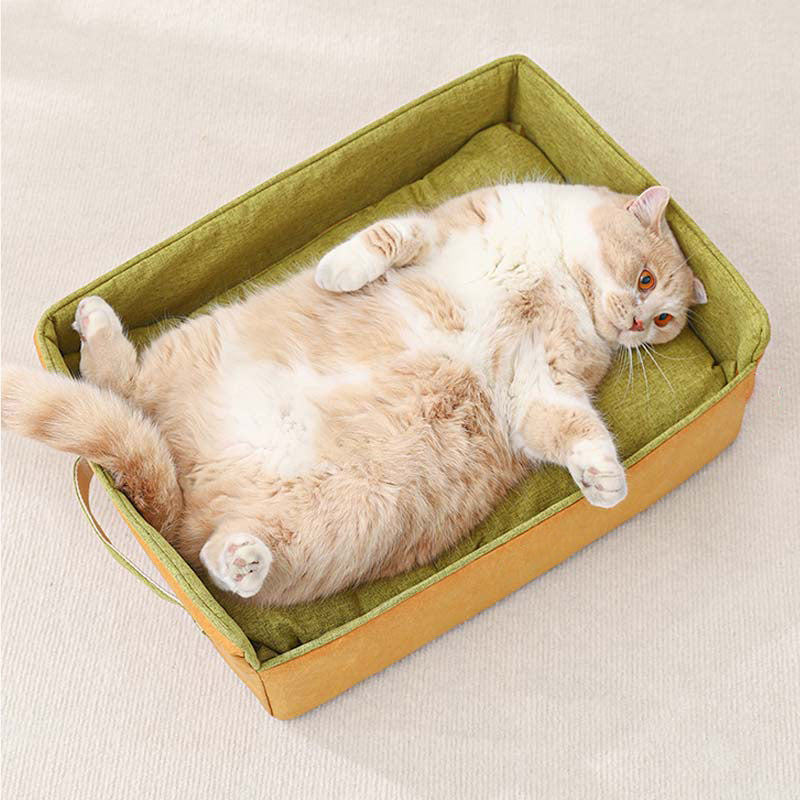 Lit de chat de lit de chien pliable portatif