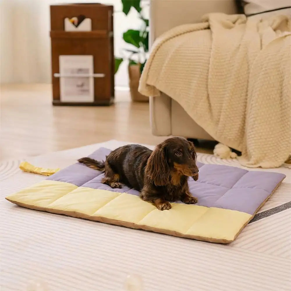 Portable Foldable Double-Sided Water-Repellent Dog Mat for Outdoor Travel & Camping