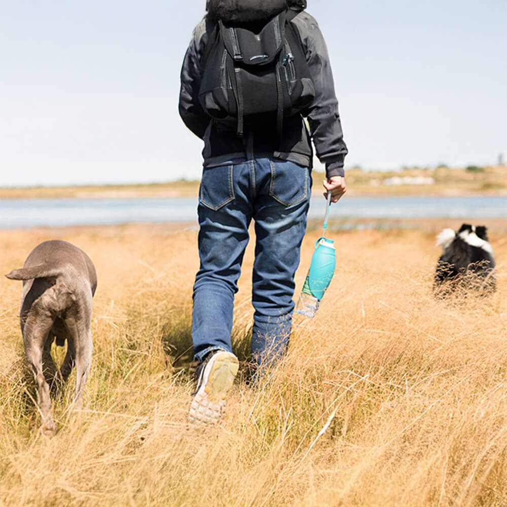 Tragbare blattförmige Outdoor-Reise-Wasserspender-Hundewasserflasche