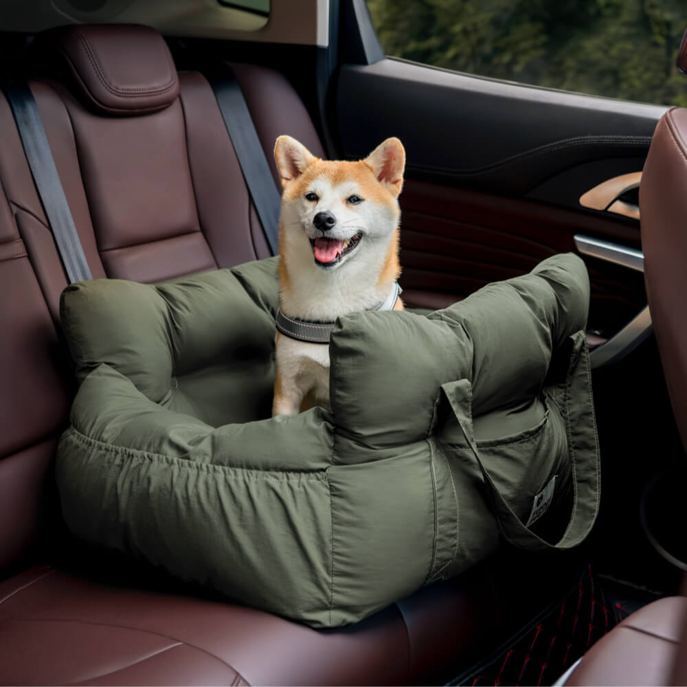 Large dog outlet carrier for car