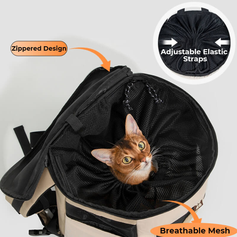 Pet travel backpack hotsell