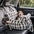 Portable ISOFIX Dog Car Seat Bed with LATCH System