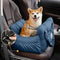 Portable ISOFIX Dog Car Seat Bed with LATCH System
