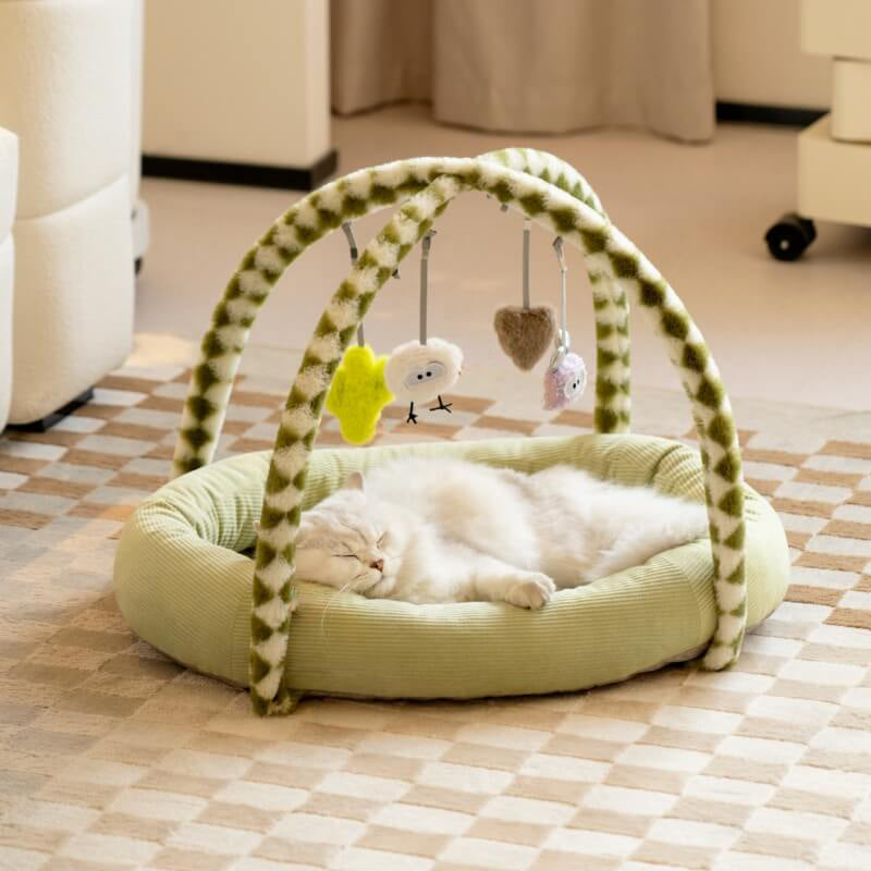 Cat mat bed sale