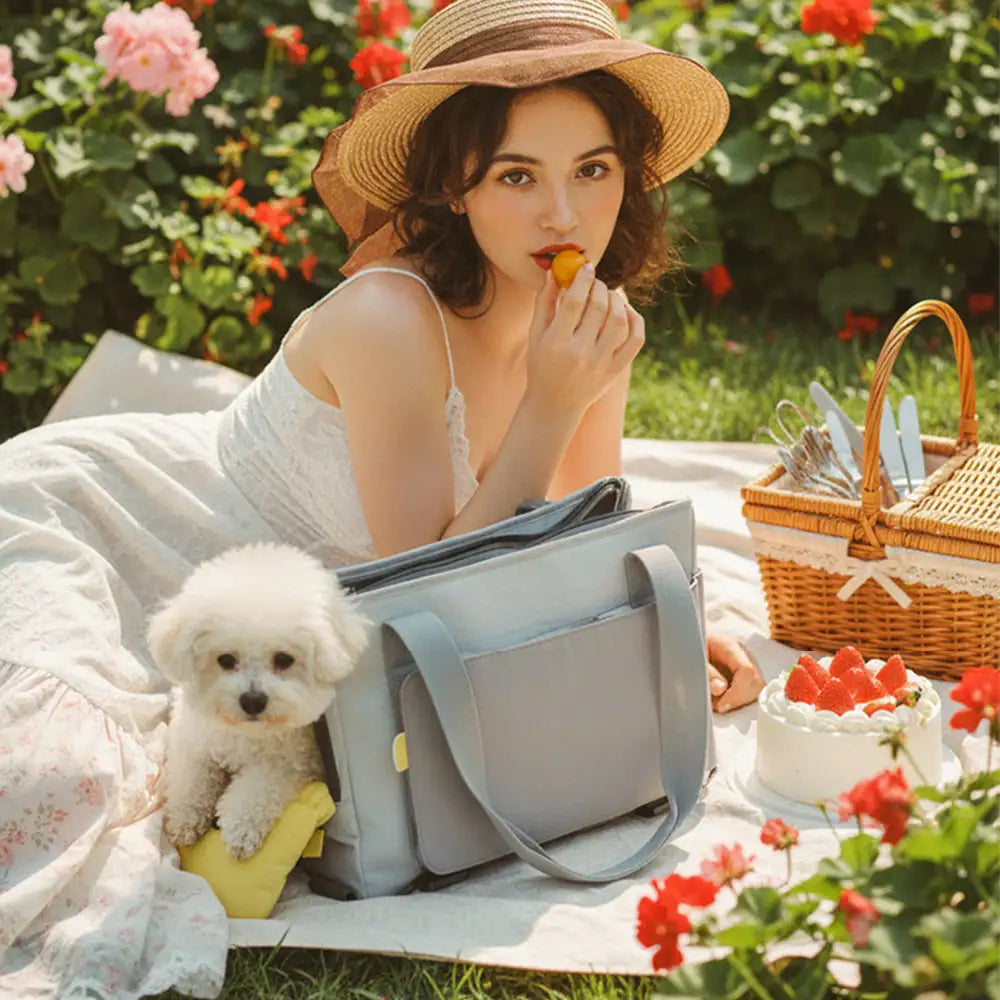 Soft-Sided Breathable Cat Carrier Shoulder Bag with Removable Pad
