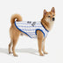 Sporty Style Breathable Dog Vest for Puppy