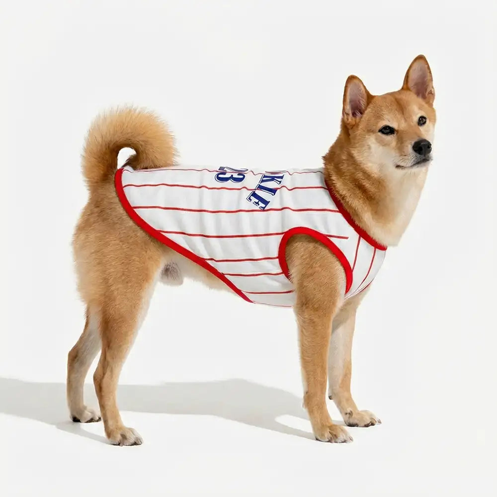 Sporty Style Breathable Dog Vest for Puppy