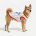 Sporty Style Breathable Dog Vest for Puppy