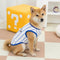 Sporty Style Breathable Dog Vest for Puppy