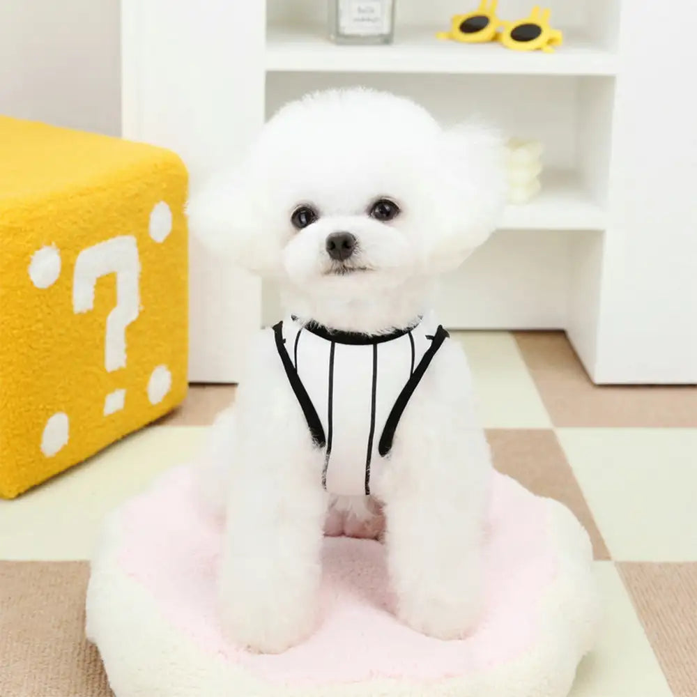 Sporty Style Breathable Dog Vest for Puppy