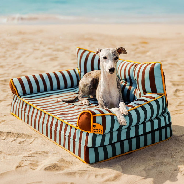 Curated visual reference: Fresh Look at Stripe Waterproof Foldable Large Dog Sofa Bed