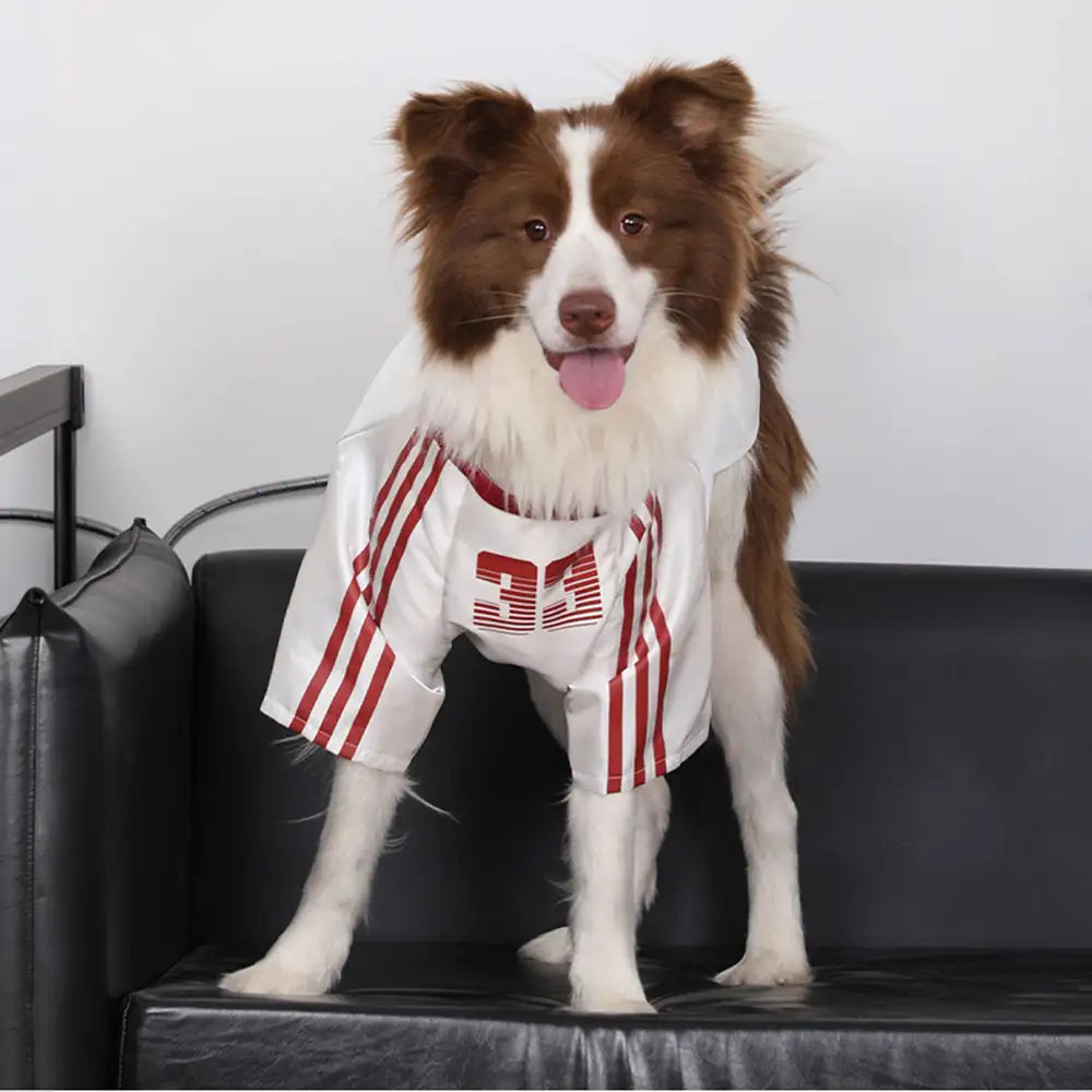 Striped Retro Reflective Dog T-Shirt for All Breeds