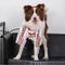 Striped Retro Reflective Dog T-Shirt for All Breeds