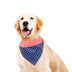 American Flag Star And Strips Dog Bandana