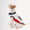 Stylish Color-Blocked Breathable Dog Vest