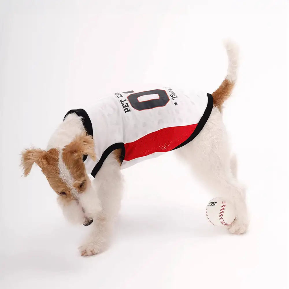 Stylish Color-Blocked Breathable Dog Vest