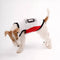 Stylish Color-Blocked Breathable Dog Vest