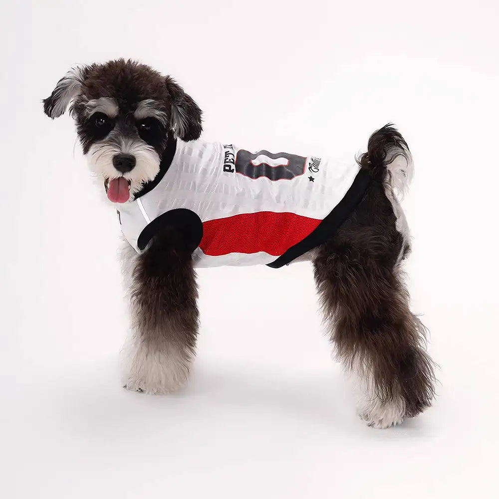 Stylish Color-Blocked Breathable Dog Vest