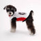 Stylish Color-Blocked Breathable Dog Vest