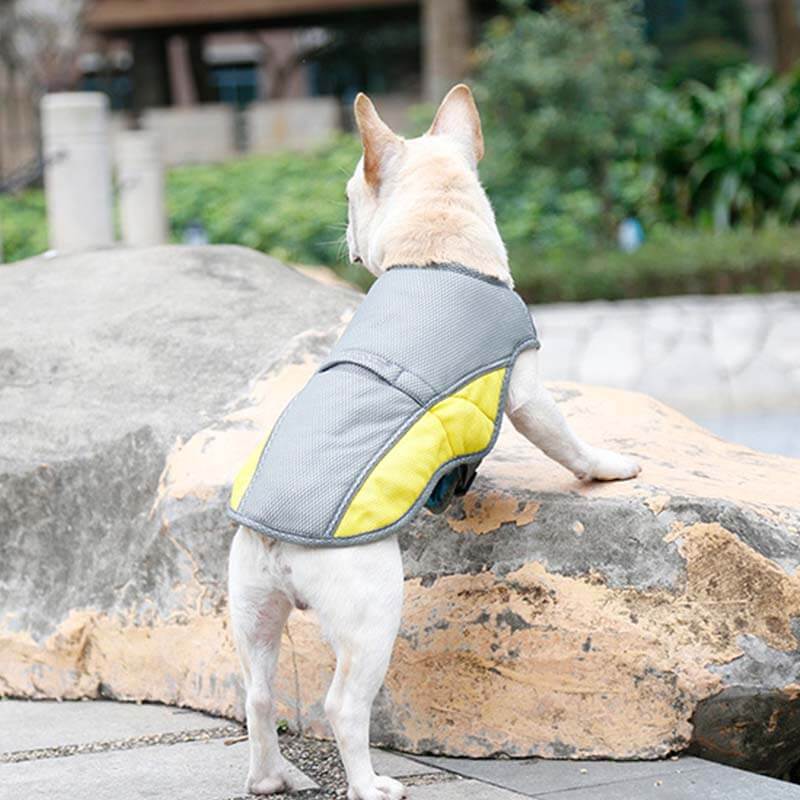 Sun Protective Breathable Cooling Vest Jacket Dog Cooling Vest