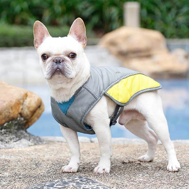 Sun Protective Breathable Cooling Vest Jacket Cool Dog Accessories Cooling Vest