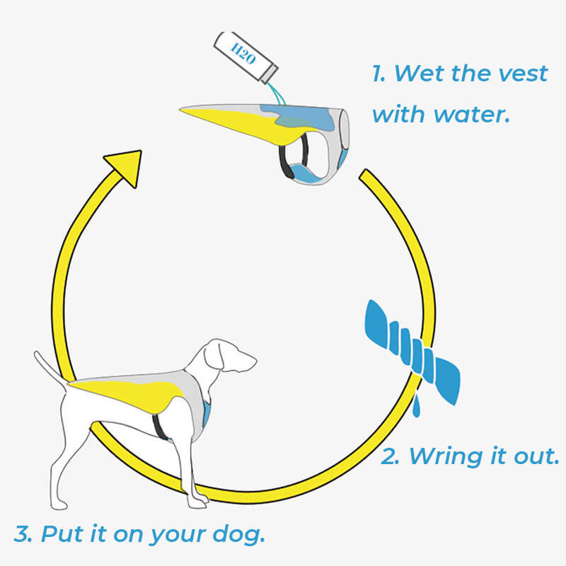 Sun Protective Breathable Cooling Vest Jacket Cool Dog Accessories Cooling Vest