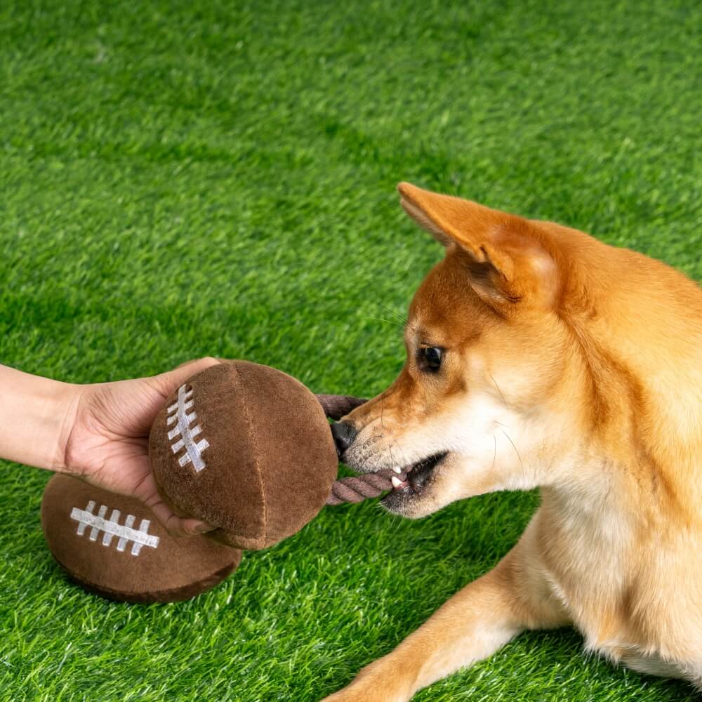 Super Bowl Plush Rugby Futebol Som Brinquedo Cachorro Brinquedo Interativo