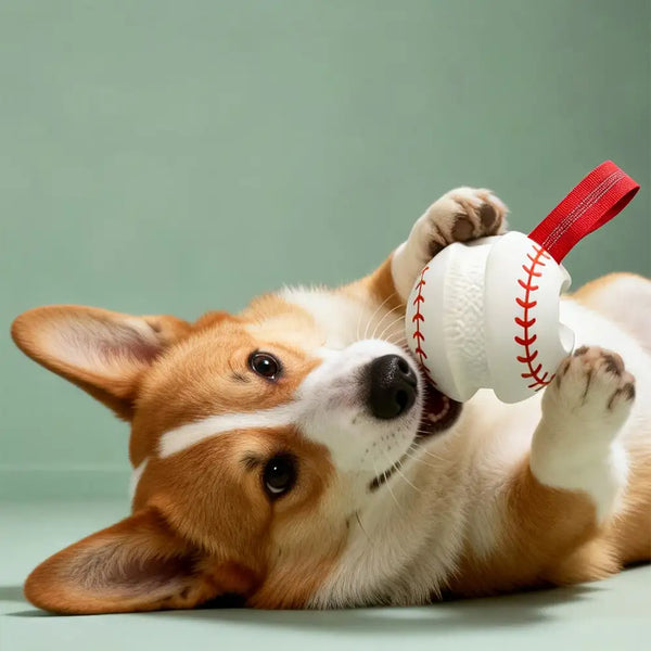 Teething & Play Elastic Interactive Dog Chew Toy