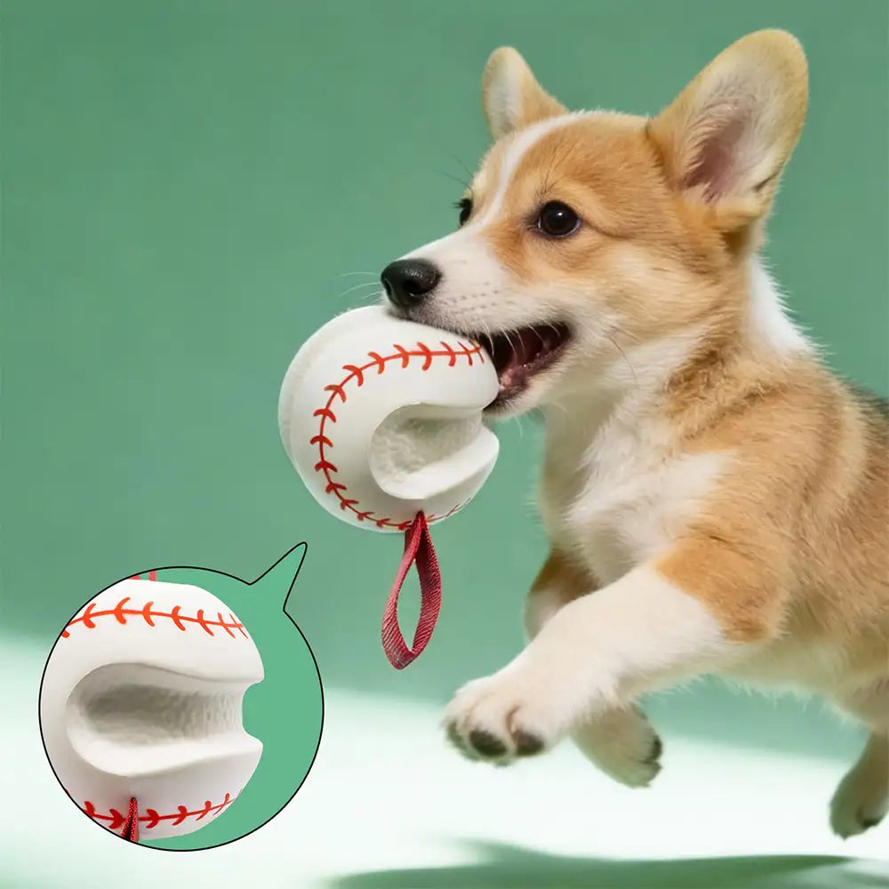 Teething & Play Elastic Interactive Dog Chew Toy