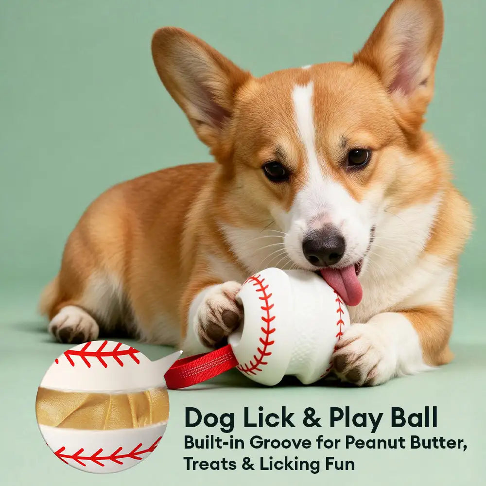 Teething & Play Elastic Interactive Dog Chew Toy