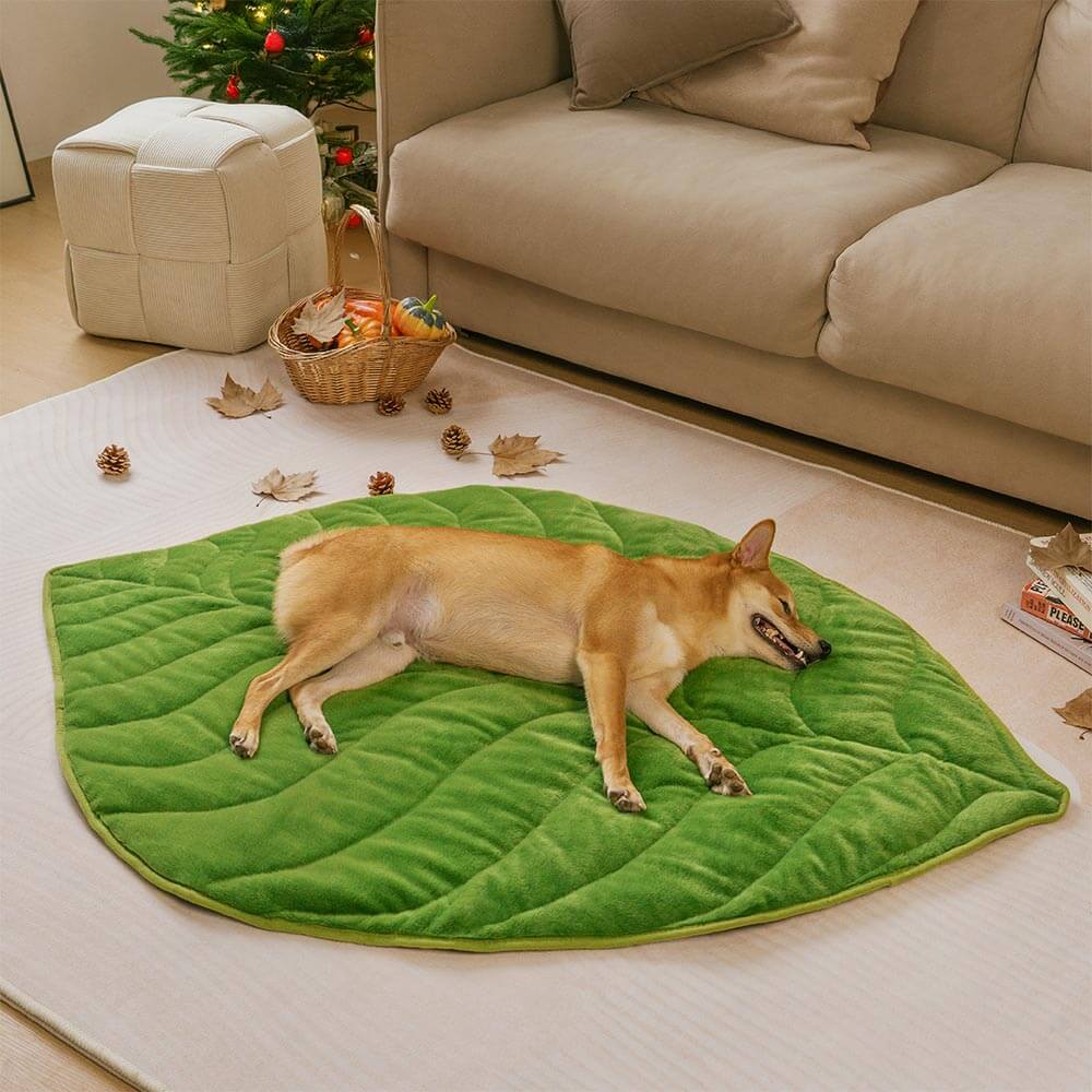 The Leaf Collector - Alfombra para perros lavable con forma de hoja de felpa