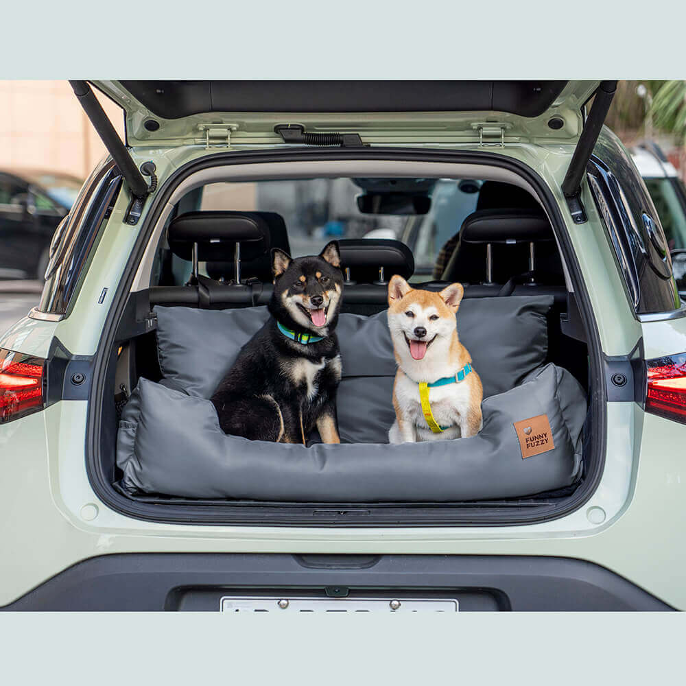 Dog travelling 2024 in car boot