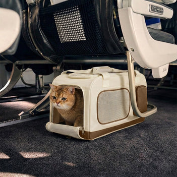 Travel Carrier Double-Layer Foldable Cat Bag with Detachable Trolley - Travel Nest