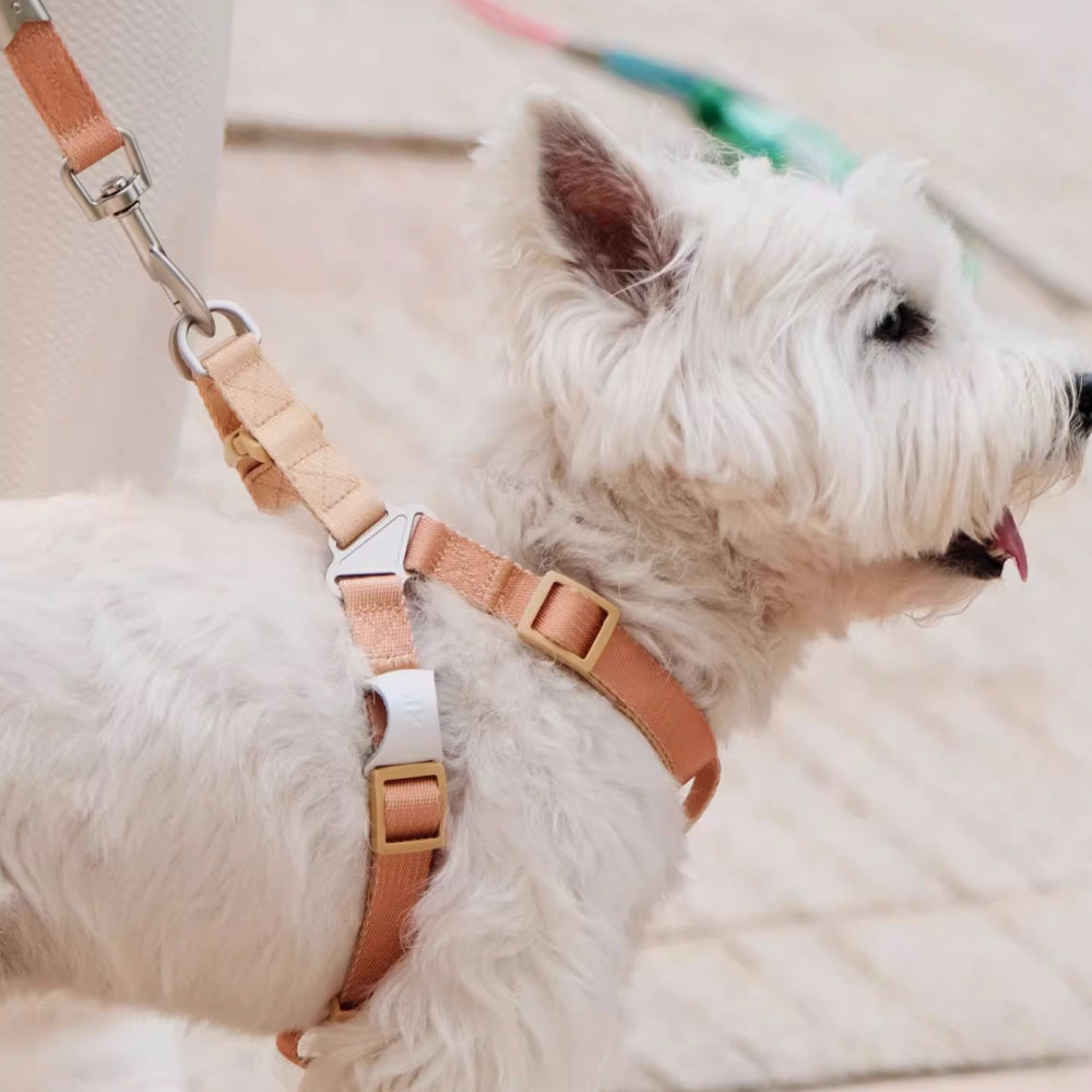 Trendy Color-Block Adjustable Ergonomic Dog Harness And Leash