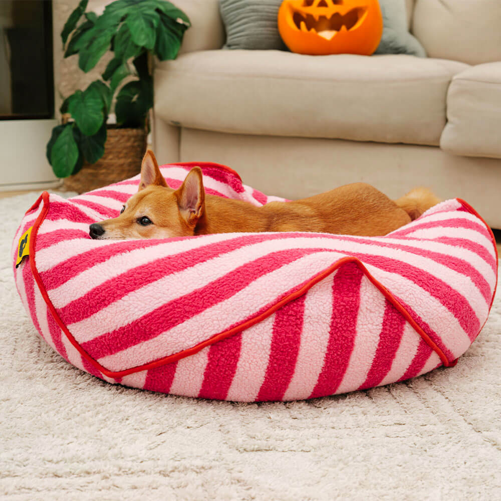 Couch pet bed pattern best sale