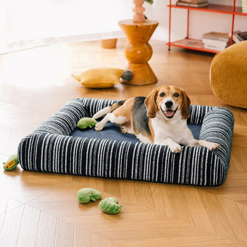 Orthopedic All-season Memory Foam Dog Bed - Funnyfuzzy SnugNest