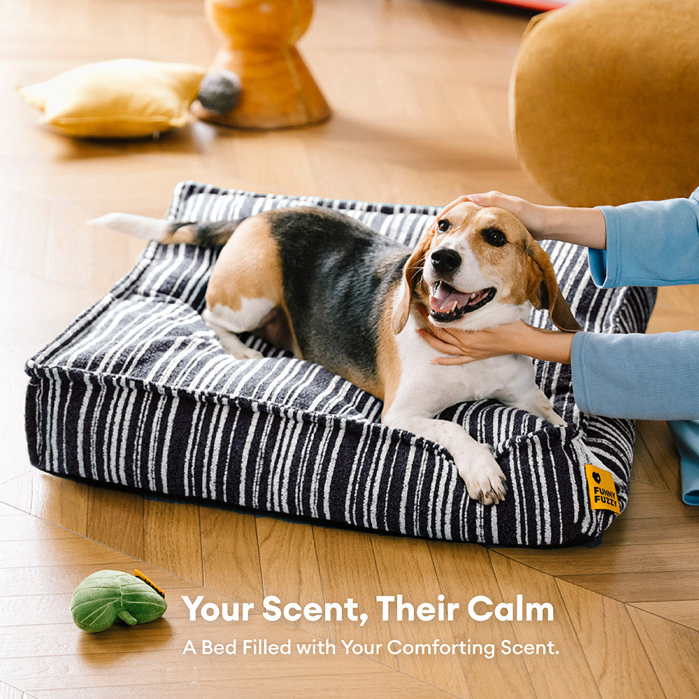 SnugNest Storage Cover with Mesh Liner