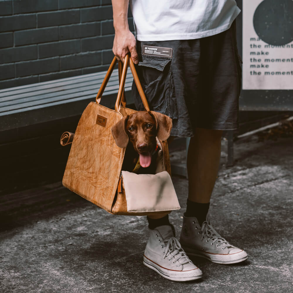 Vogue Eco-friendly Multi-functional Pet Travel Bag - City Roamer
