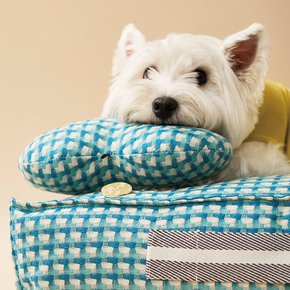 Cama calmante para perros Sweet Dreams con forma de gofre