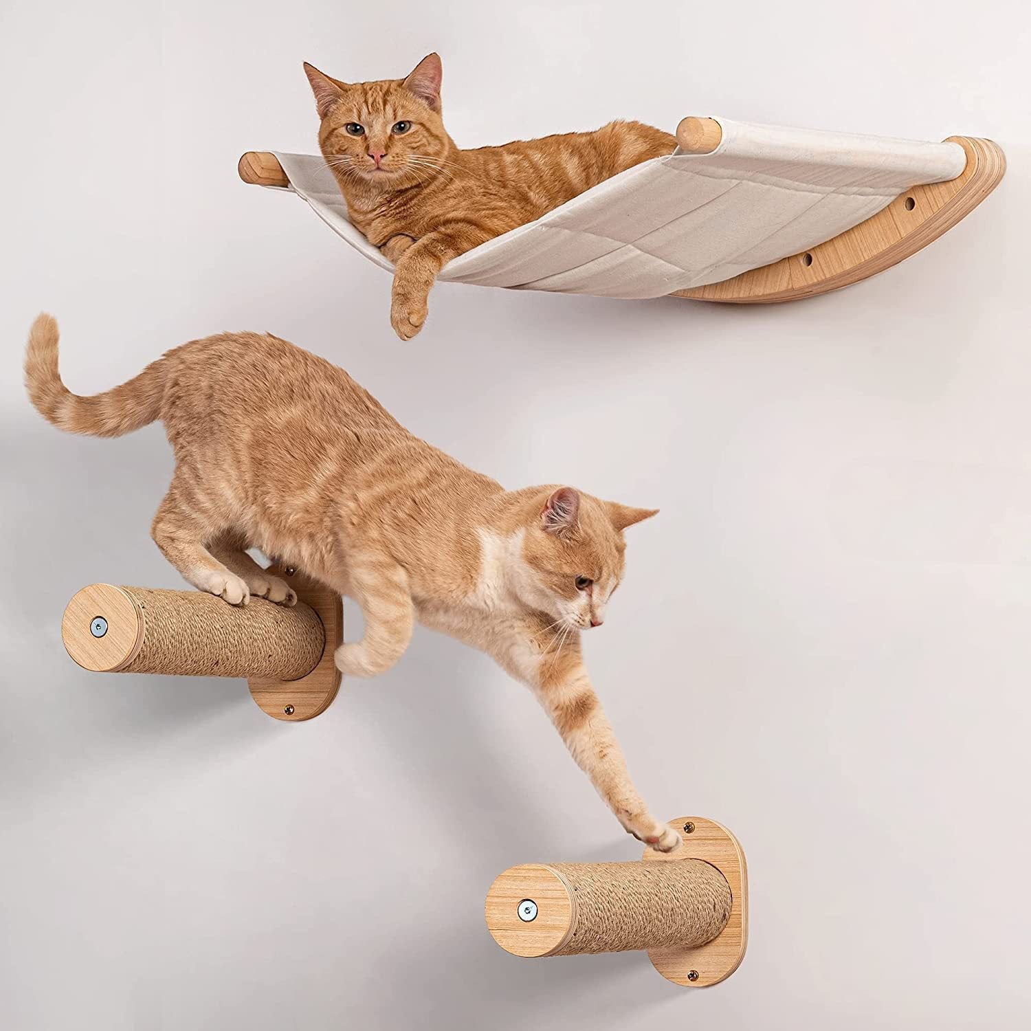 Funnyfuzzy Wall Mounted Cat Shelves with Steps