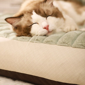 Warm & Secure Thick Sleeping Pet Sofa Bed
