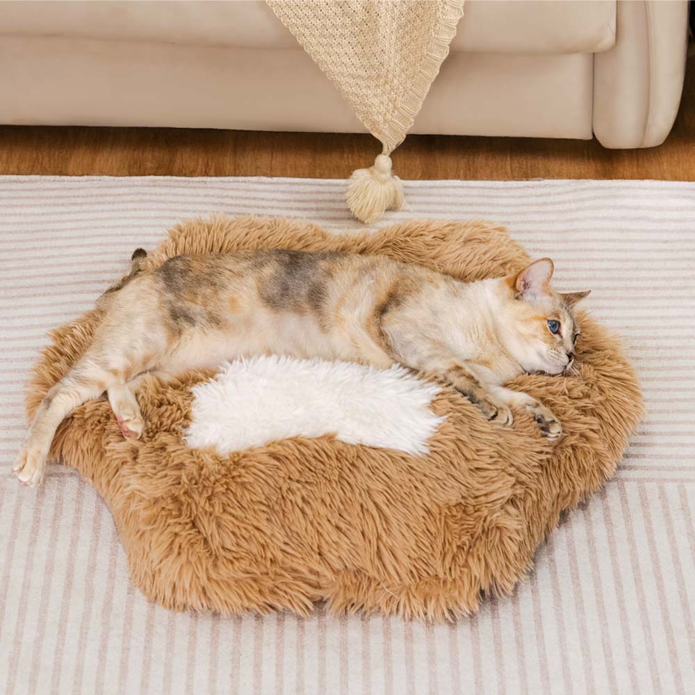 Washable Fluffy Non-Slip Cozy Cat Bed-Paw Spot