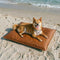Water-Repellent Scratch-Resistant Double-Sided Washable Dog Mat