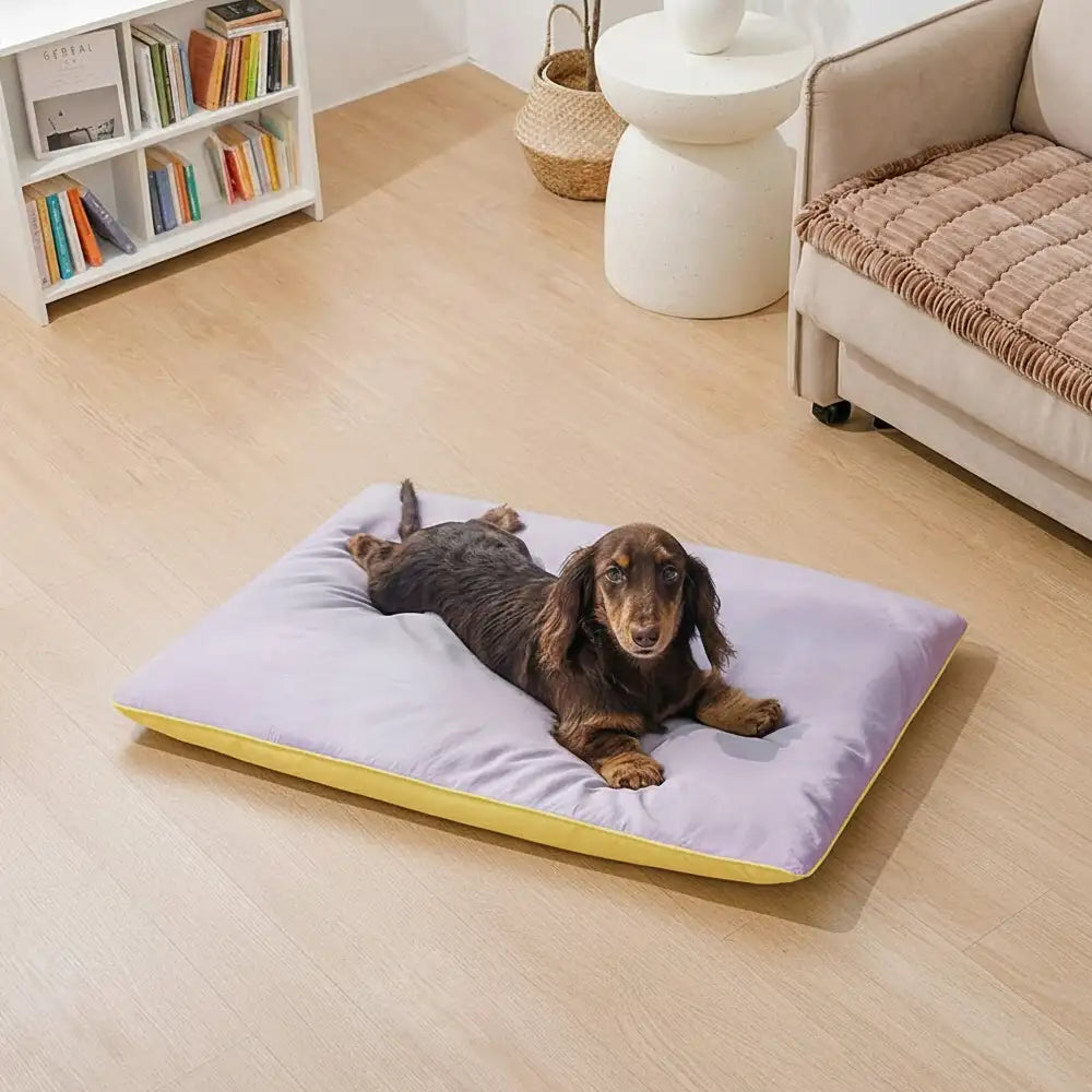 Water-Repellent Scratch-Resistant Double-Sided Washable Dog Mat