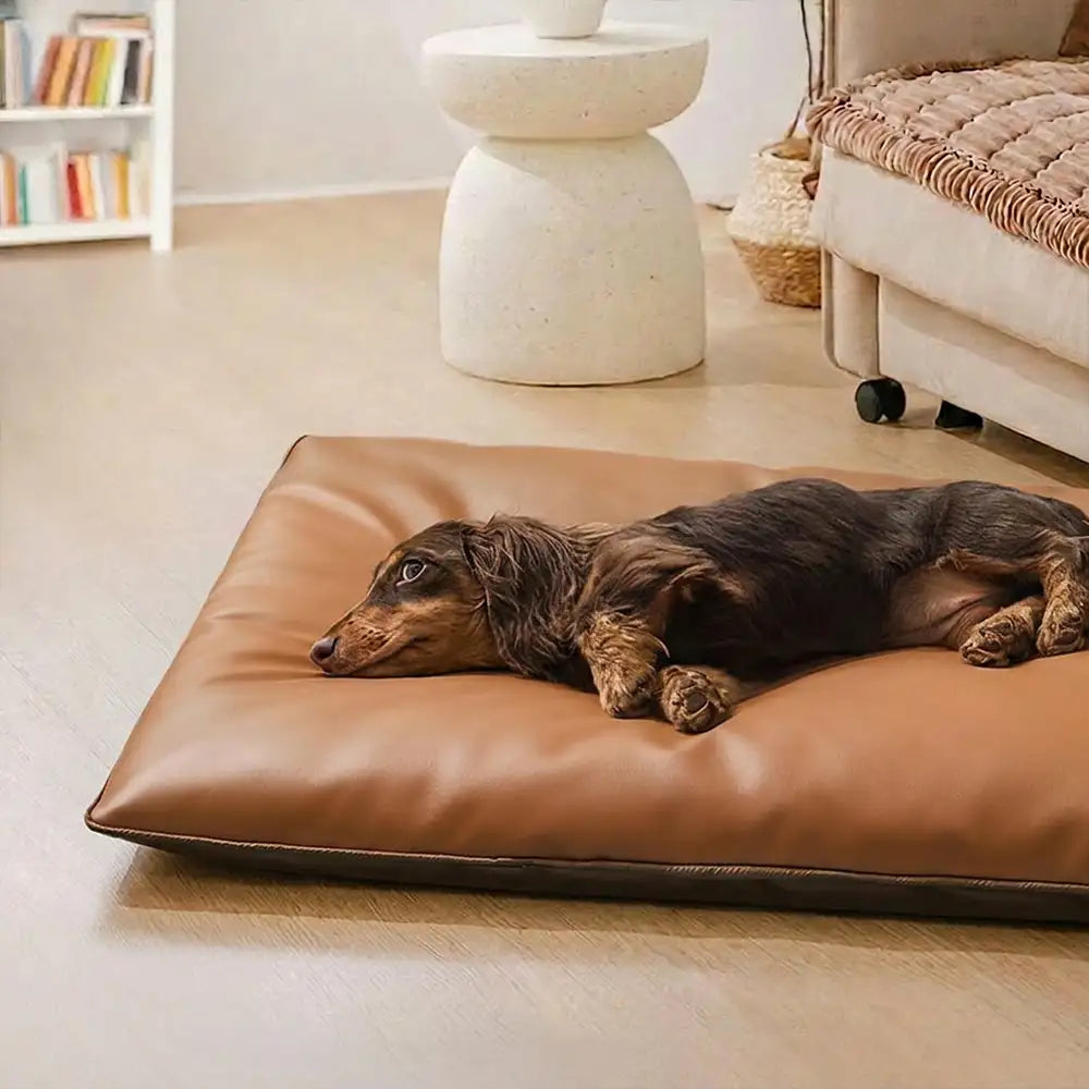 Water-Repellent Scratch-Resistant Double-Sided Washable Dog Mat