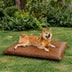 Water-Repellent Scratch-Resistant Double-Sided Washable Dog Mat