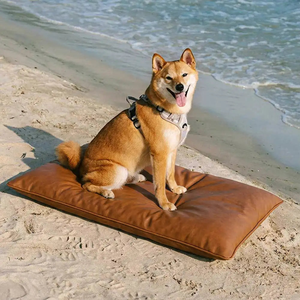 Water-Repellent Scratch-Resistant Double-Sided Washable Dog Mat